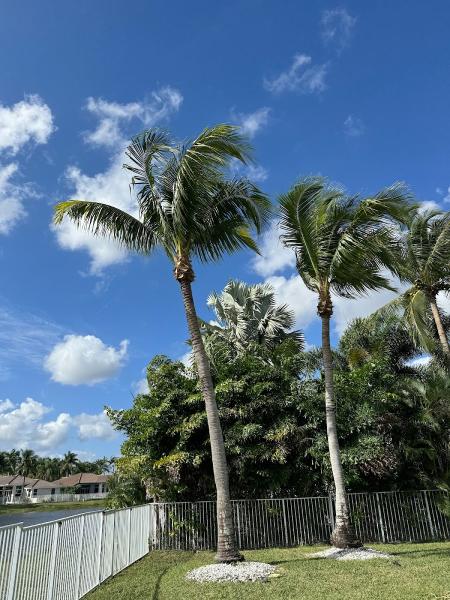 Complete Landscaping & Maintenance
