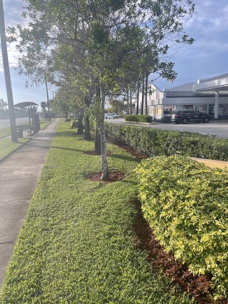 Complete Landscaping & Maintenance