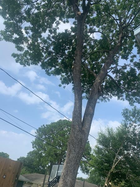 C.i.r Tree Service
