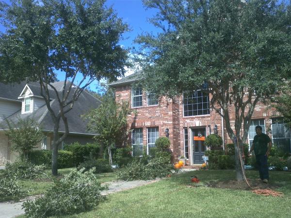 C.i.r Tree Service