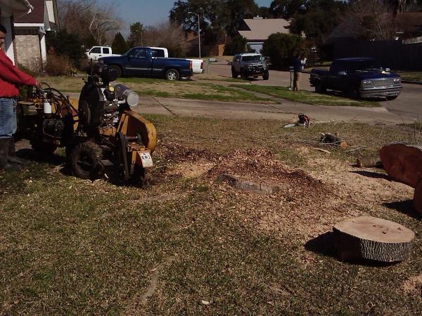 C.i.r Tree Service