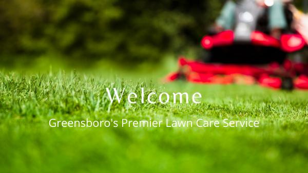 Grass Solution Lawn Care