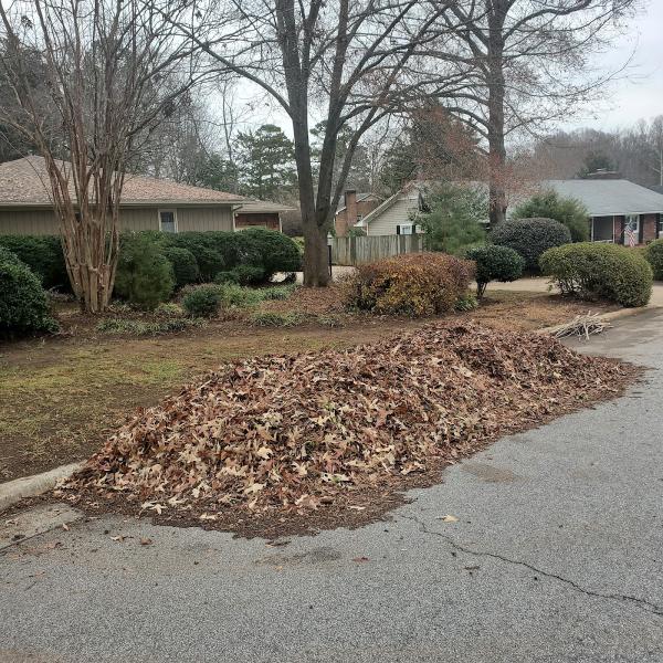 Grass Solution Lawn Care