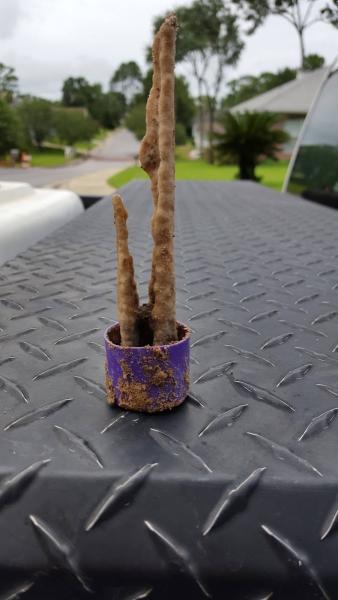 Anchor Pest Control