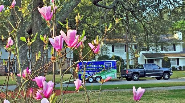 Turf Doctor Landscaping & Lawn