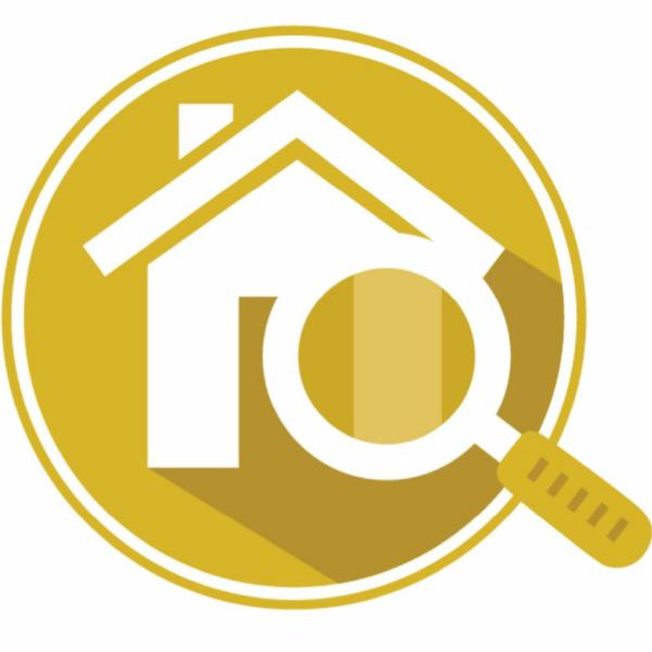 Balma Inspections