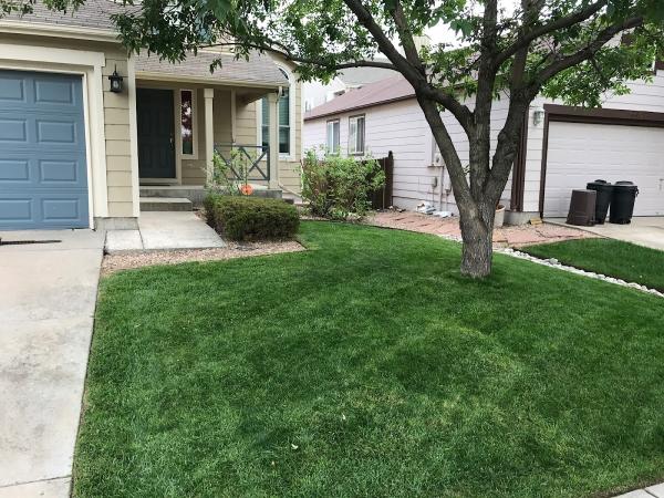 High Plains Lawn Service