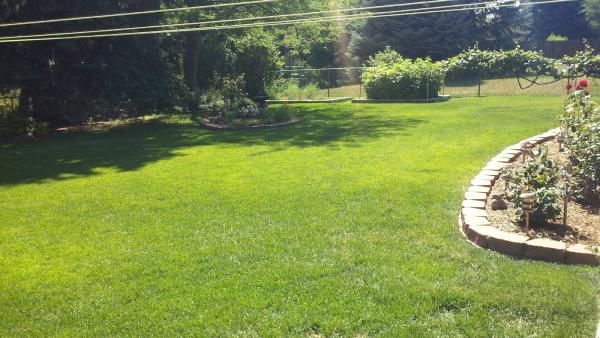 High Plains Lawn Service