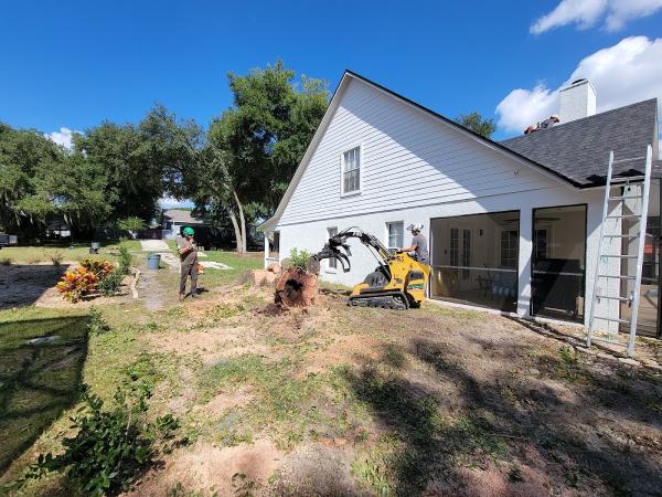 Dropzone Tree Services