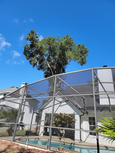 Dropzone Tree Services