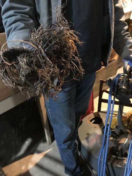 Viking Sewer & Drain Cleaning