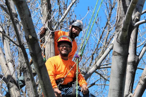 Helping Hand Tree Service