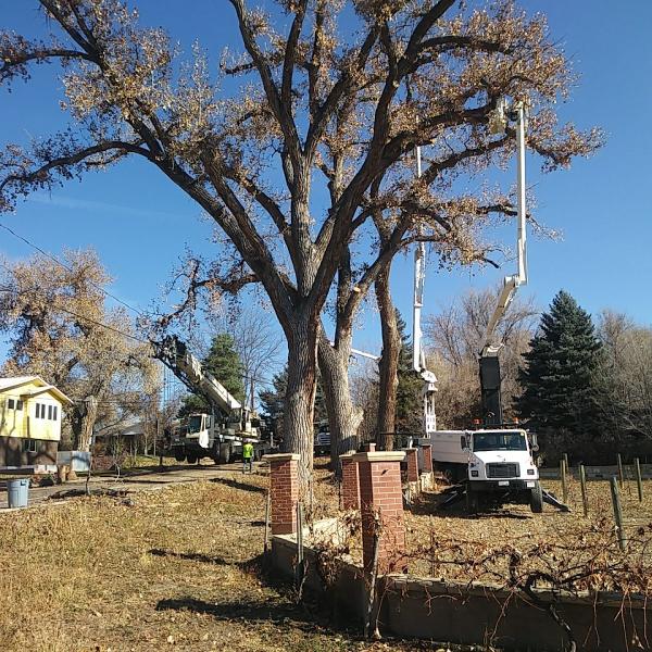 Helping Hand Tree Service