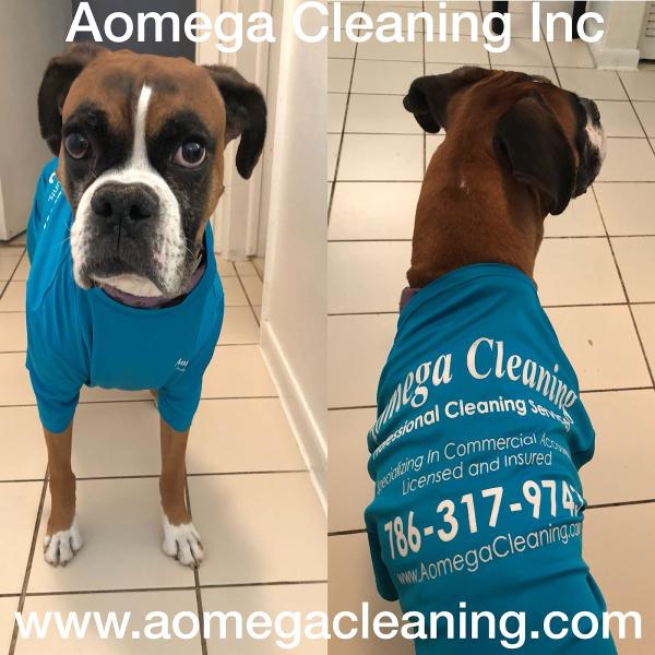 Aomega Cleaning