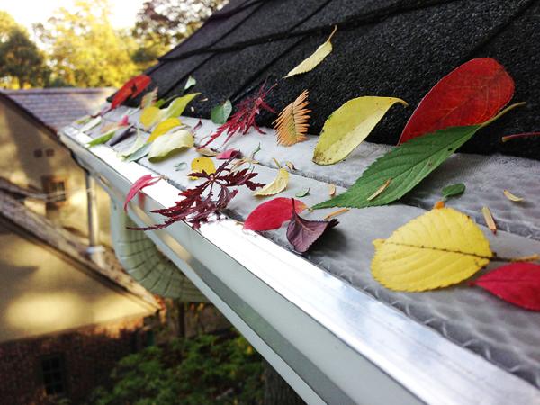 Leafco Gutters LTD