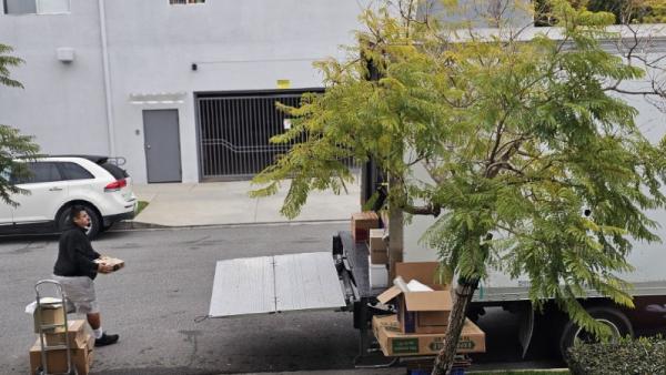 GXL Moving Services