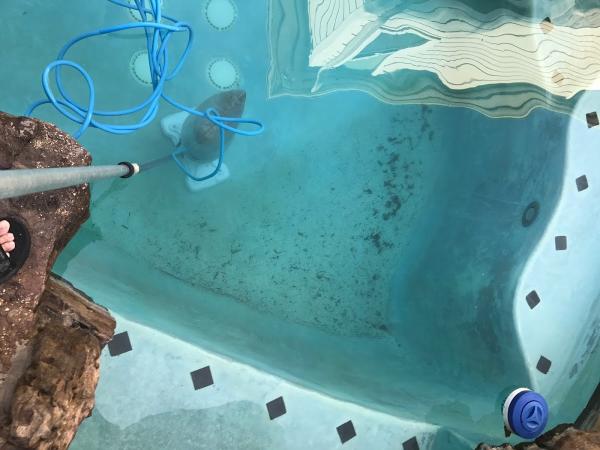 Snagadeal Pool Services