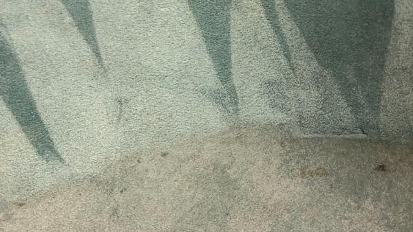 A1 Pro Cleaning