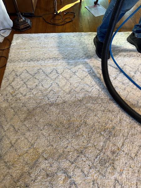 A1 Pro Cleaning