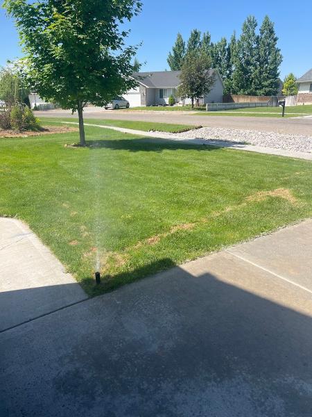OLS Lawn Sprinkler Services