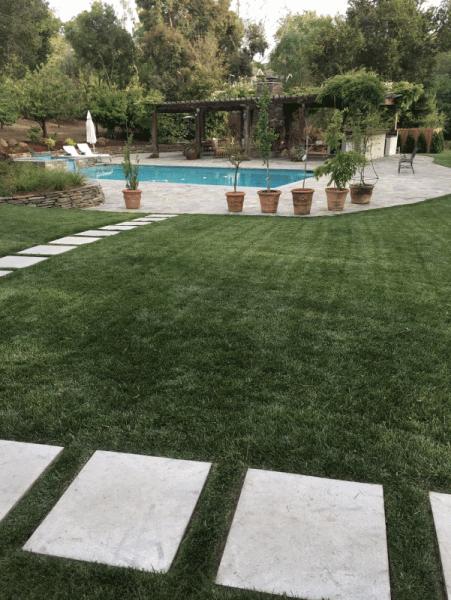 Gonzalez Gardening Bay Area