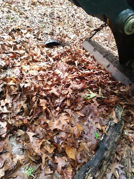 Smith Lawn Care LLC