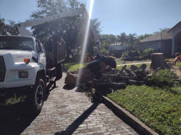 It's All Good Tree Service and Stump Grinding