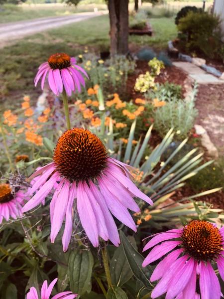 Greenman Lawn Care & Outdoor Living