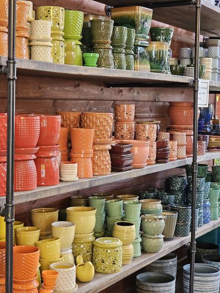 Covington's Nursery and Landscape Co.