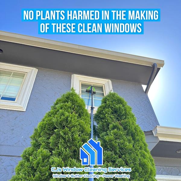 Cj's Window Cleaning Services
