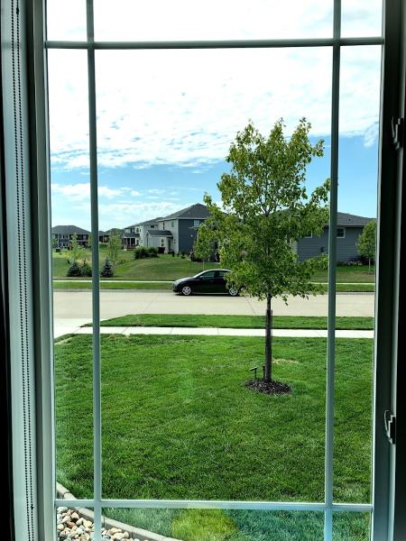 Cj's Window Cleaning Services