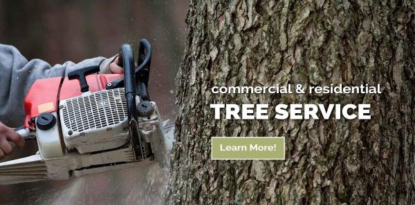 Mathias Tree & Landscape Service