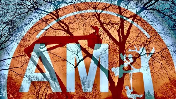 AM Tree Service