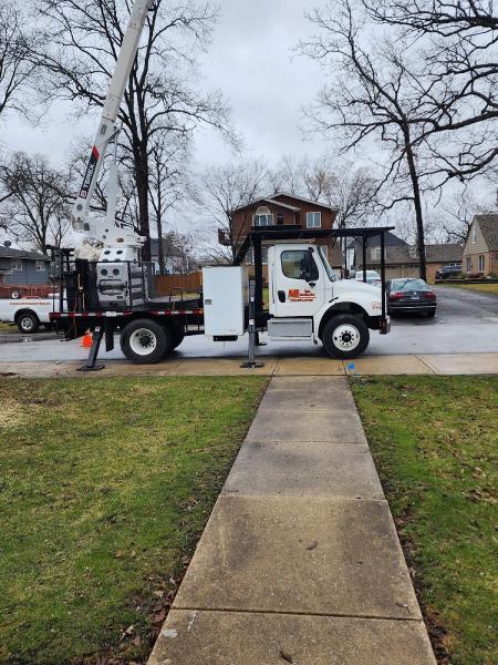AM Tree Service