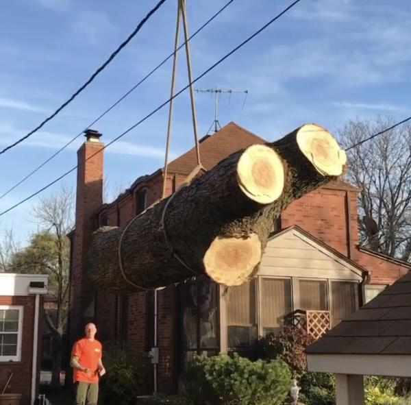 AM Tree Service