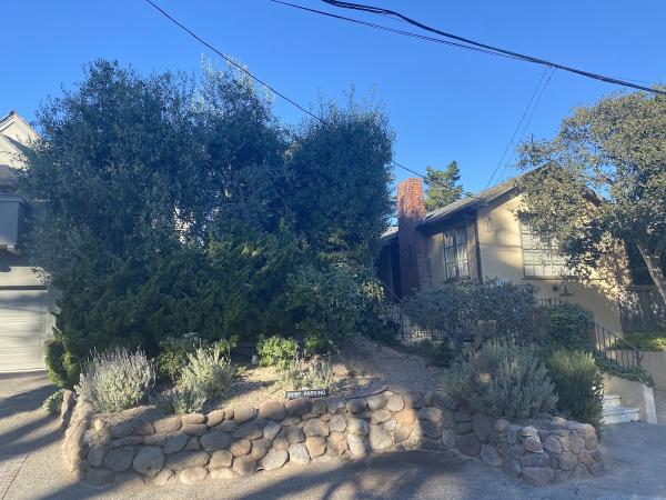 Tree Works- “excellence in Tree Service”