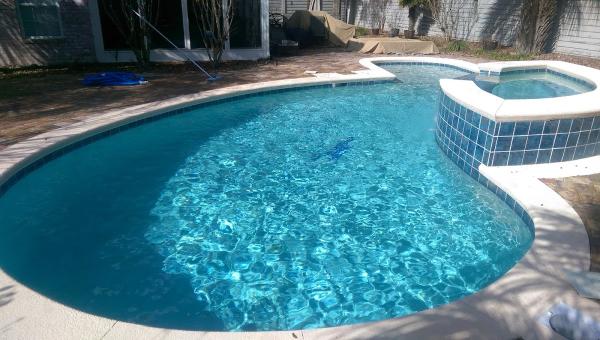 The Pool Sitter