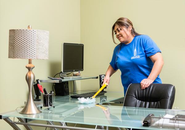 Deluca Cleaning Systems