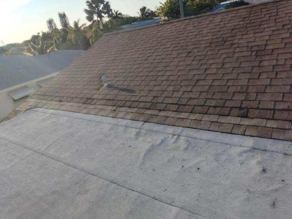 Dollar Roofers