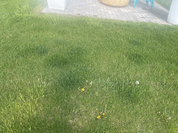 Experigreen Lawn Care