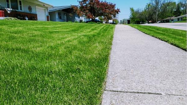 Elites Lawncare and Snow Removal