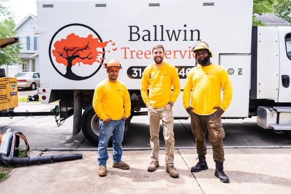 Ballwin Tree Service