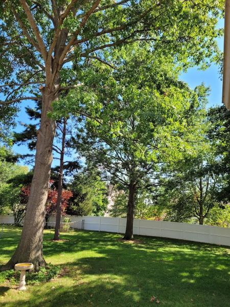 Ballwin Tree Service