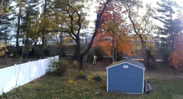 Ballwin Tree Service