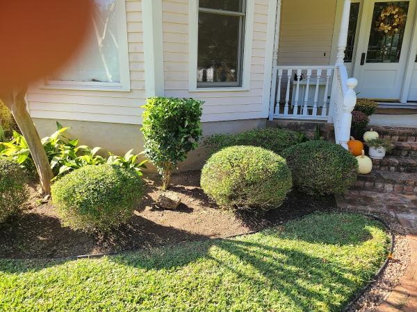 Round Rock Lawn Pros