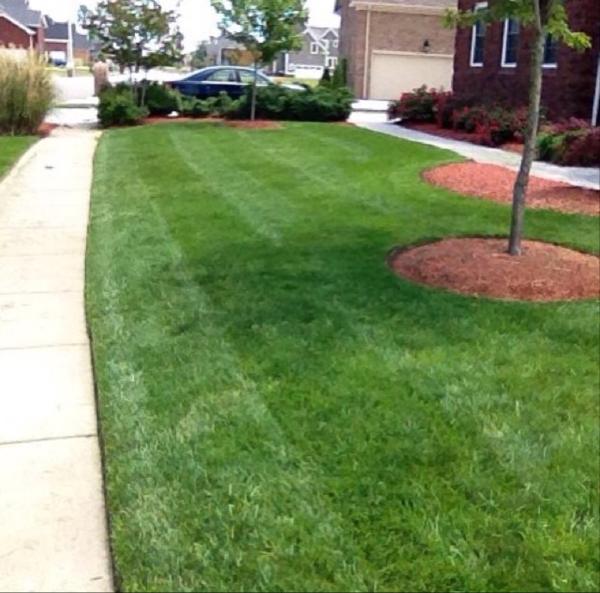 E M Landscaping & Lawn Maintenance
