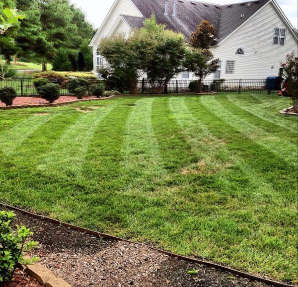 E M Landscaping & Lawn Maintenance