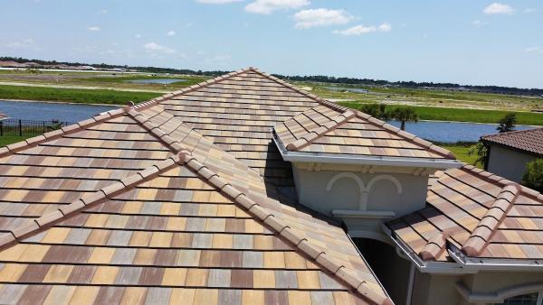 Blue Dog Roofing & Construction