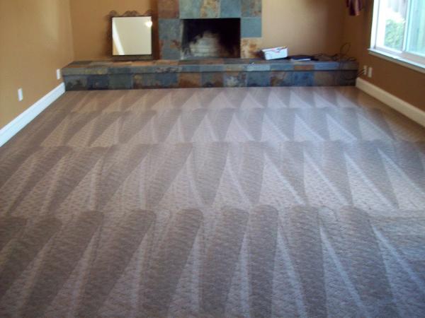 Honor Plus Carpet Cleaning