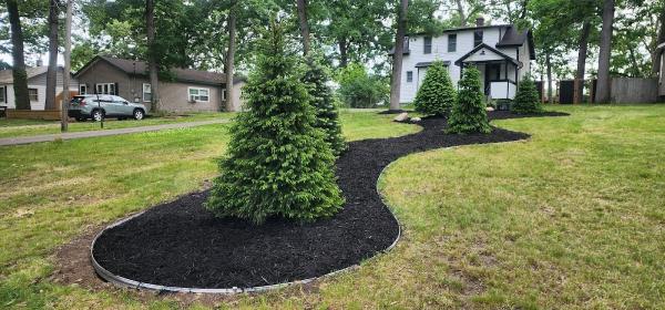 Schafer Landscaping